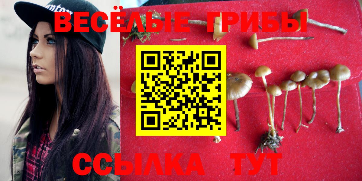 Михайловск  Галлюциногенные грибы MAGIC MUSHROOMS  Вход с VPN 
